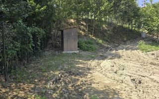 Teren extravilan 2.300 mp – Cârțișoara, județul Sibiu - Poză 6