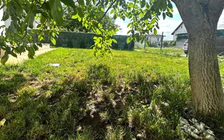 Casă de închiriat | 5 camere | Curte de 400 mp | Corbeanca - Poză 15