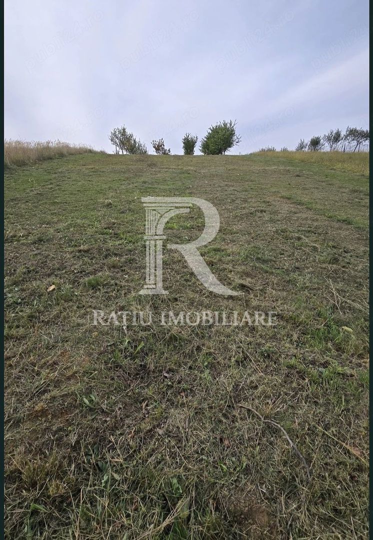De vanzare | Teren intravilan 1500 mp | Cordau | Cu livada - Poză 3