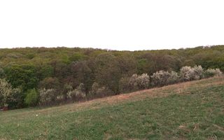 Teren intravilan de vanzare, Seigau - Poză 4