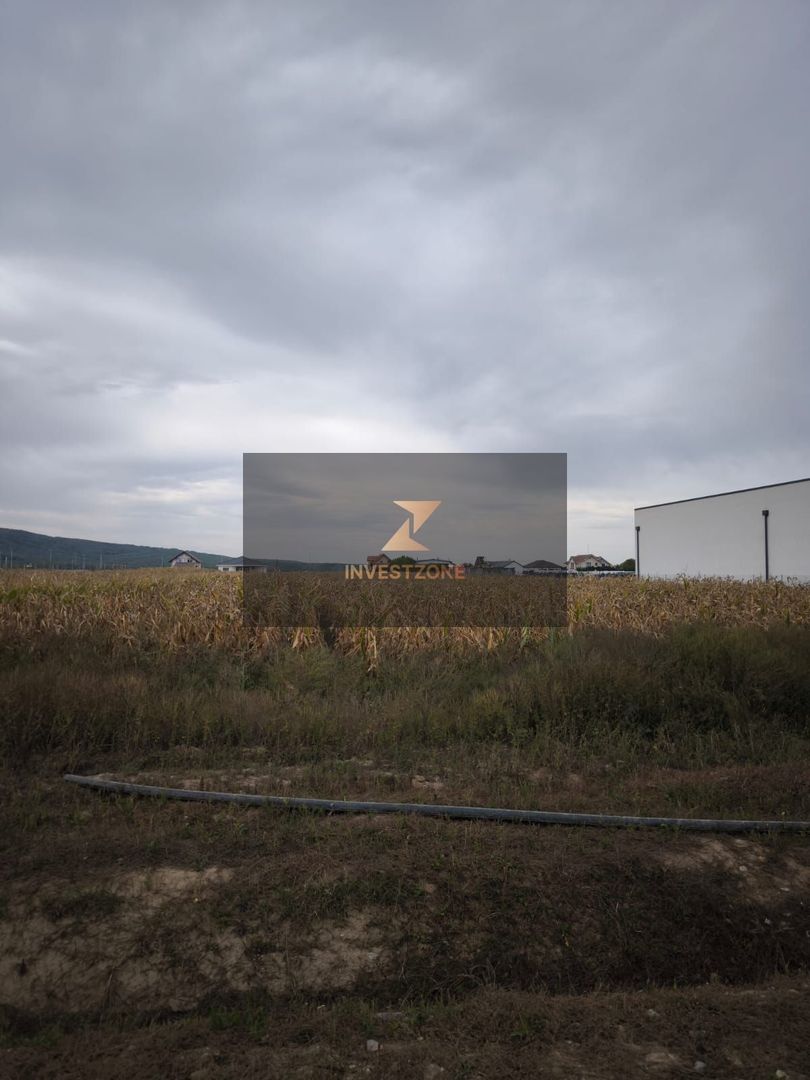 Teren de vanzare,2000mp,Cheriu-Bihor - Poză 3