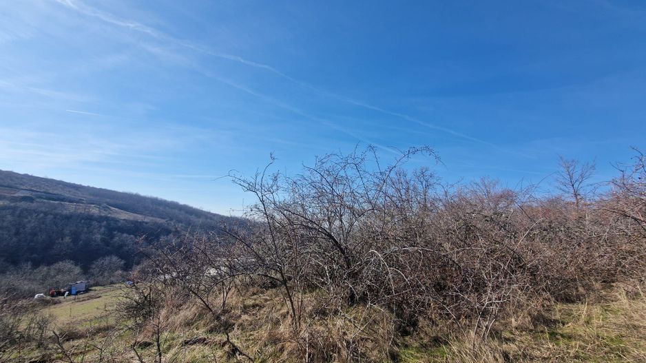 Teren extravilan, 23 400 mp, Cuvin (Ghioroc) - Poză 1