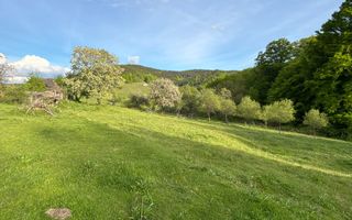 Teren de vânzare în Cugir - Poză 3
