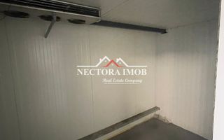 NECTORA IMOB-Hala industriala 250 mp, Sanmartin, Camera Frig,Sanmartin - Poză 5