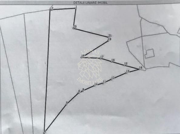 Teren 9750 mp+casa de vacanta-panoramic-Zona Castel Dracula - Poză 2