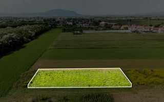 Teren cu potential | 837 mp | Stupini Brasov - Poză 4