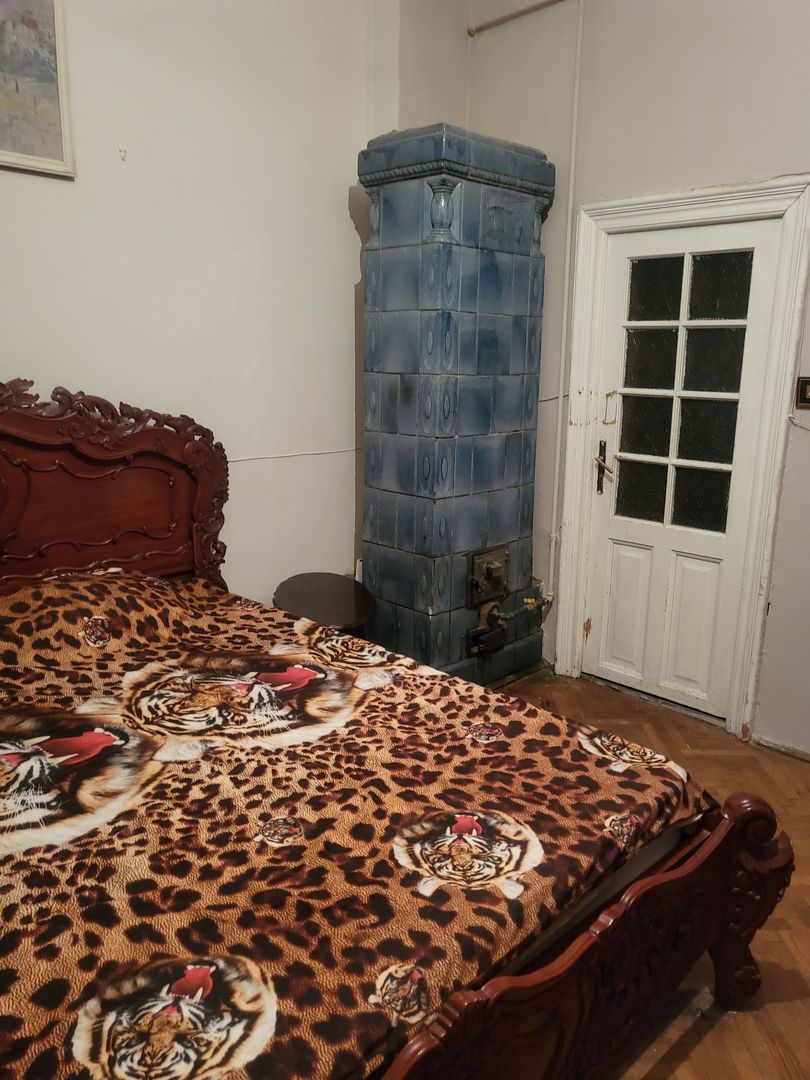 Vand apartament in vila - Poză 2