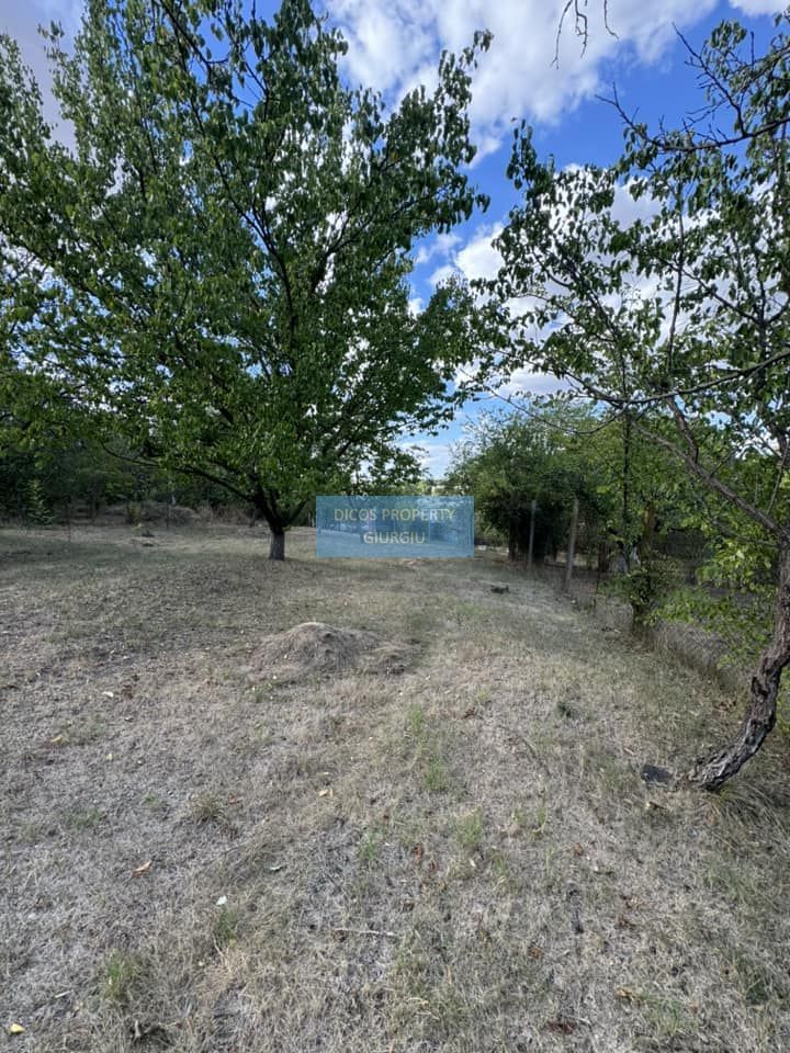 DE VANZARE Teren intravilan Comuna Daia,Jud Giurgiu - Poză 2