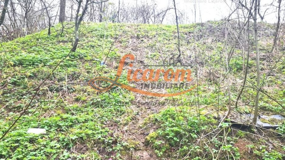 Teren intravilan1291 mp Schei Str Nisipului iesire la Drumul Poienii - Poză 3