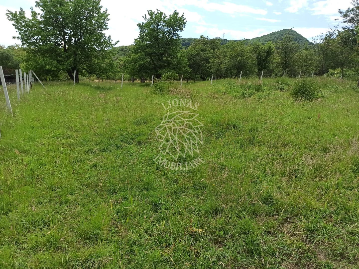 Teren 1000mp+cota drum-ideal cabana/investitie-panorama-Valea Rusului - Poză 1