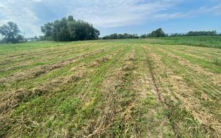 Teren Extravilan | 23 Ari | Satu Mare - Poză 4