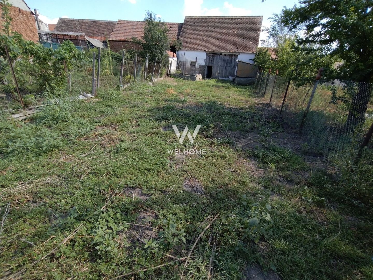 Casa 4 camere, curte si gradina 673 mp, com.Ludos - Poză 20