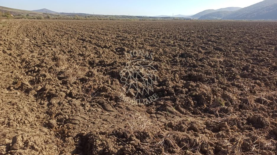 Teren 7500 mp-ideal agricultura, invetitie-Sarata - Poză 1