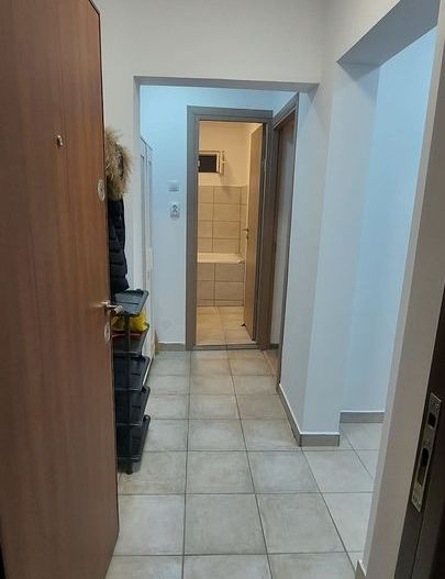 Garsoniera spatioasa Vitan, pet friendly, renovata, AC, mobilata complet - Poză 2