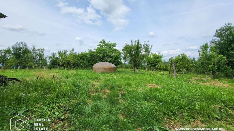 Casa mare, 3 corpuri de cladire, sat Lalasint - Poză 8