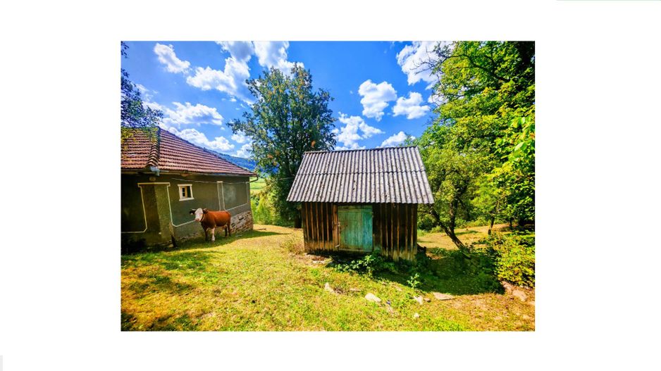 CASA TRADITIONALA, ANEXE si 46.980 mp teren partial INTRAVILAN - Poză 2