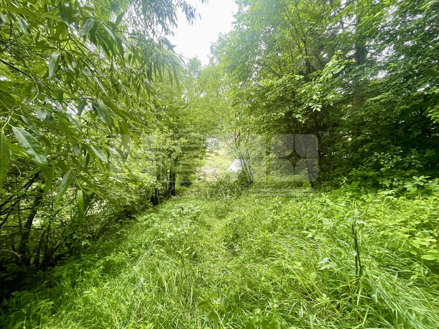 CASA LA ROSU | 12 ARI | SUCEVITA | LANGA PADURE - Poză 9