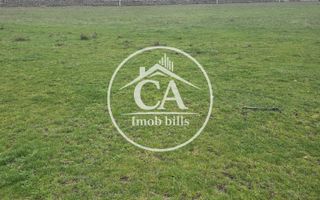Teren extravilan 150.000 mp de vânzare in Tileagd, Bihor - Poză 2