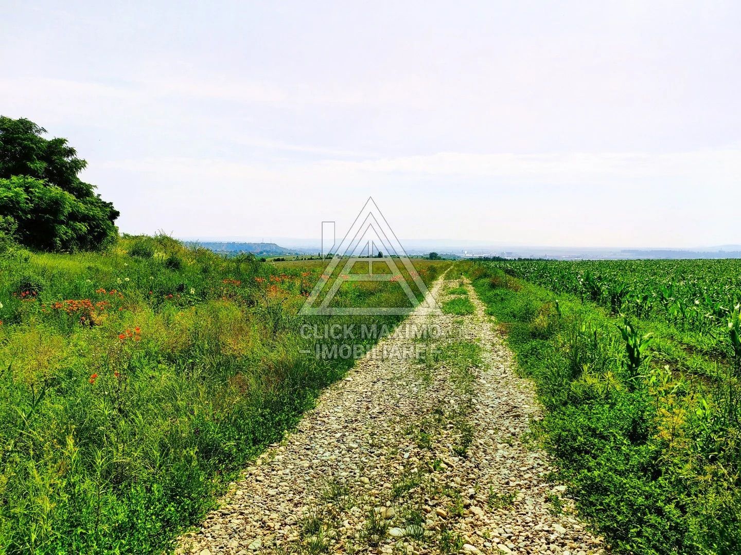 28.554 mp TEREN EXTRAVILAN, TURDA – SĂNDULEȘTI, jud. CLUJ - Poză 9