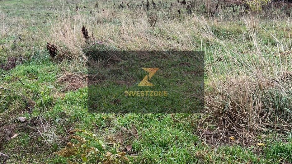 ⭐  Teren de 2.700 mp cu front generos – Ocazie în Oncea - Poză 4