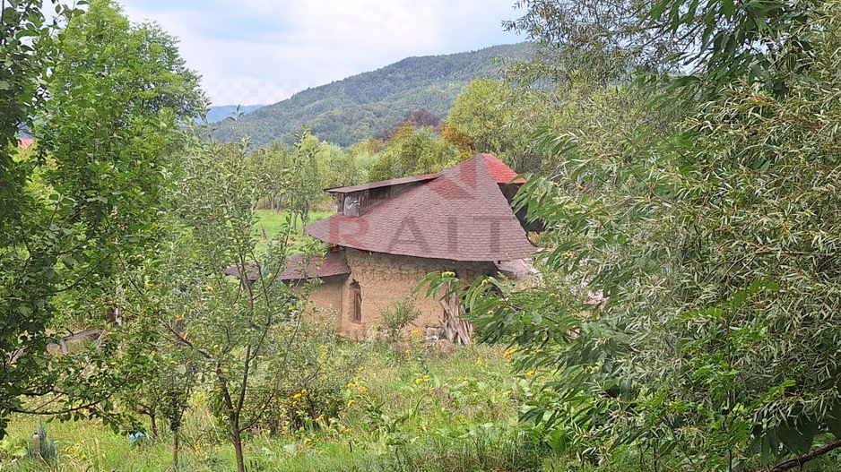 VANZARE ANSAMBLU CASUTE BRADULET ARGES - Poză 4
