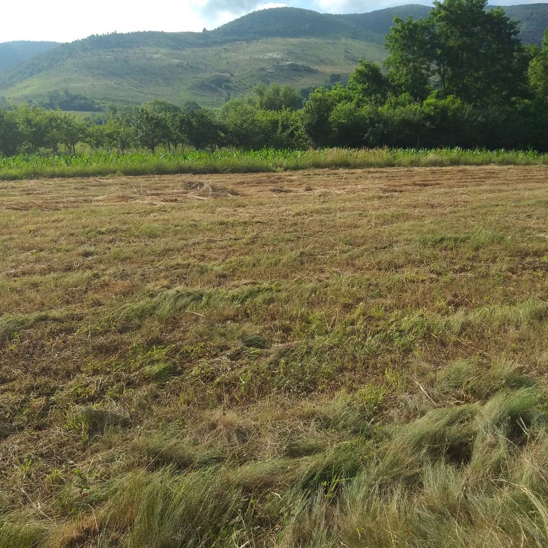 Teren Sasca Română-1079 mp - Poză 1