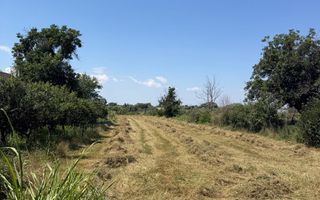 Teren intravilan 4.000 mp Comana (Budeni) | 10 €/mp negociabil | Comis - Poză 5