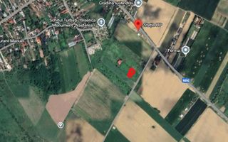 Teren intravilan Snagov  I 980 mp I Siliștea Snagovului - Poză 1