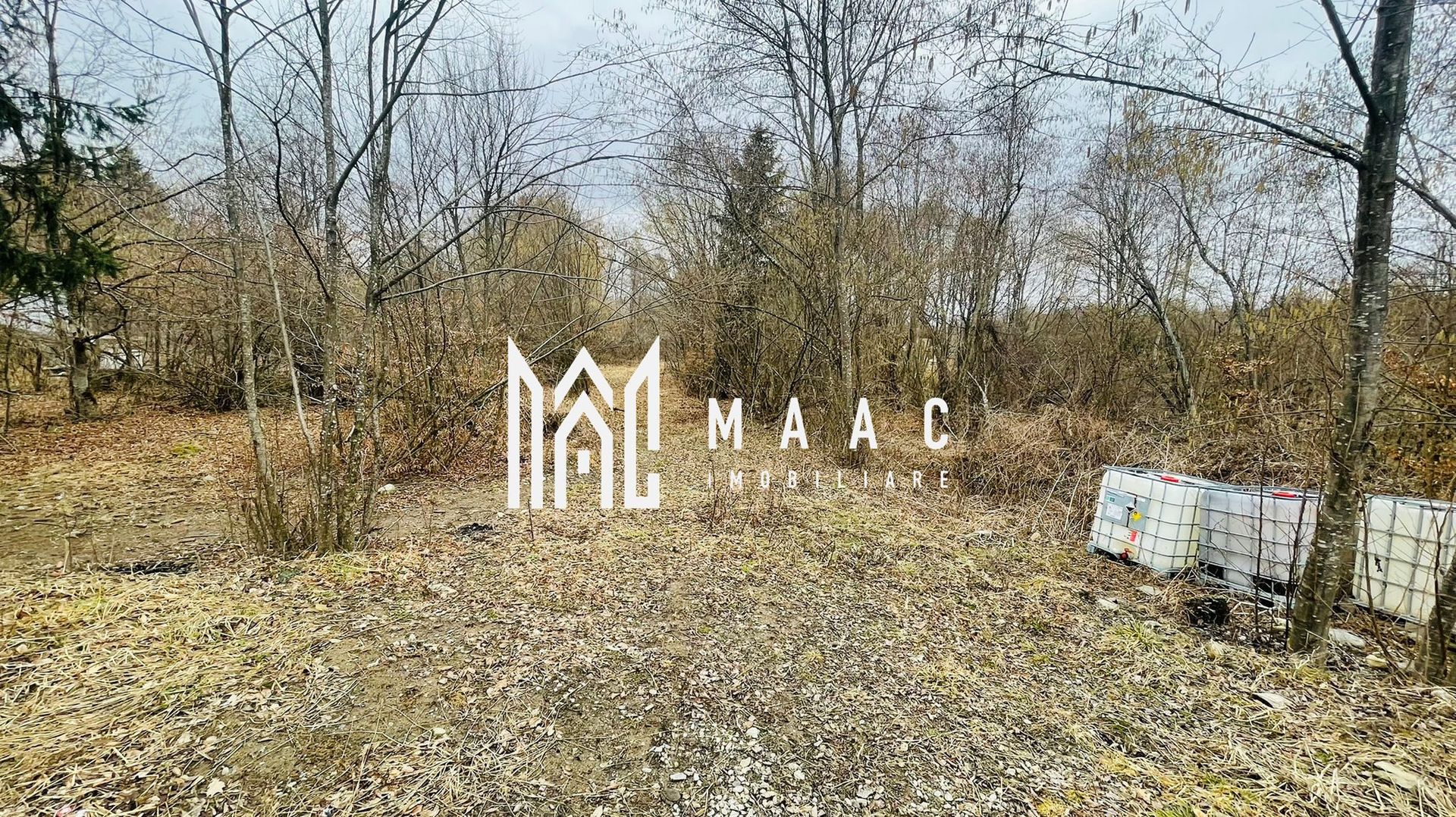 Casa de Vacanta | Porumbacu de Sus | 14200 MP teren - Poză 27