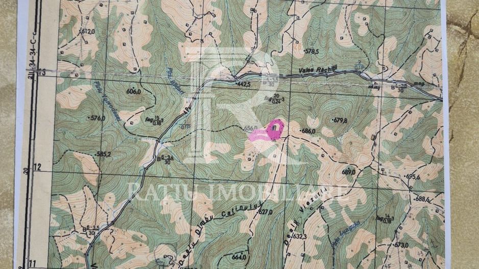 Teren Partial Intravilan | 3 ha | Serani | Bihor - Poză 2