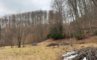 Teren extravilan de vânzare | 1402 mp | Blidari | zonă superbă - Poză 2