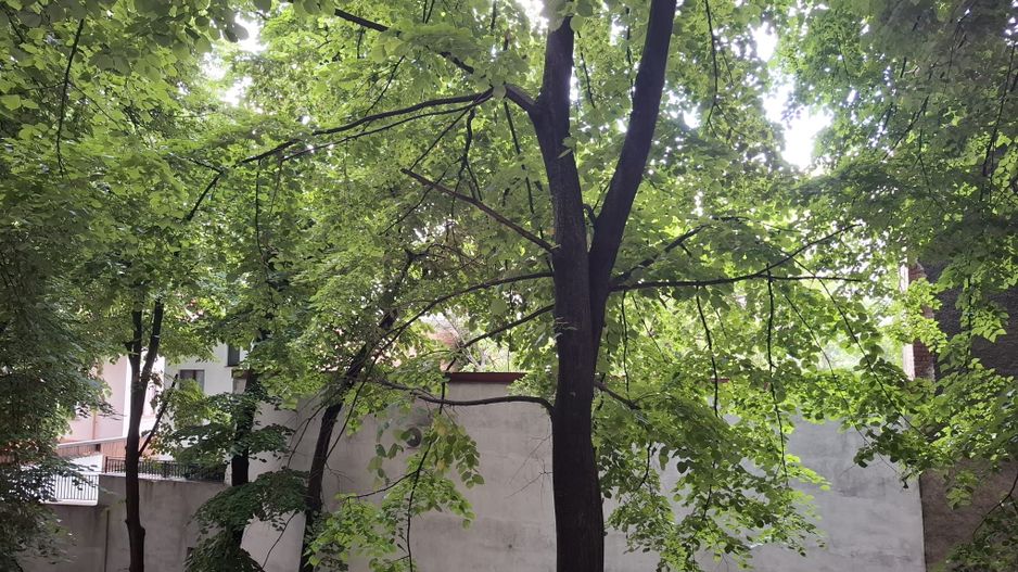 URGENT!, renovat complet, vedere spate, mobilat/utilat modern, liber - Poză 15