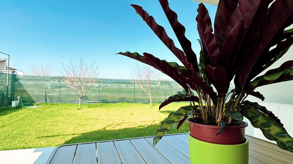 Dumbravita - Casa 5 camere, 179 mp | Mobilat & Utiliat | Garaj - Poză 43