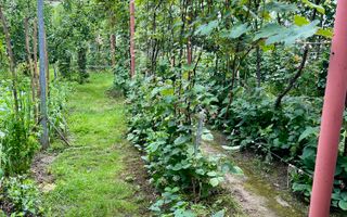 Casa de vanzare 6 camere zona Piata Cluj/Kogalniceanu/Turnisor - Poză 25