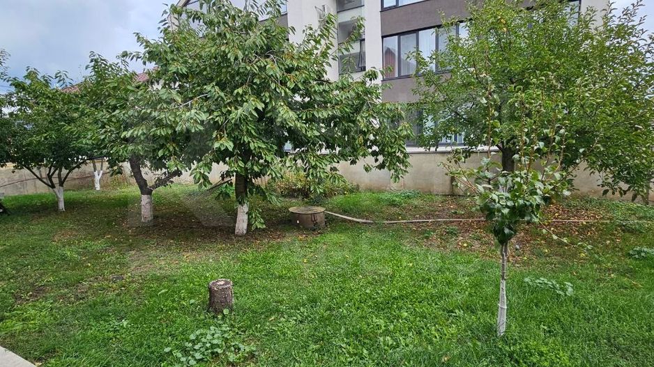 Chirie, apartament, 5 camere, Strada Haiducilor, Codru - Poză 10