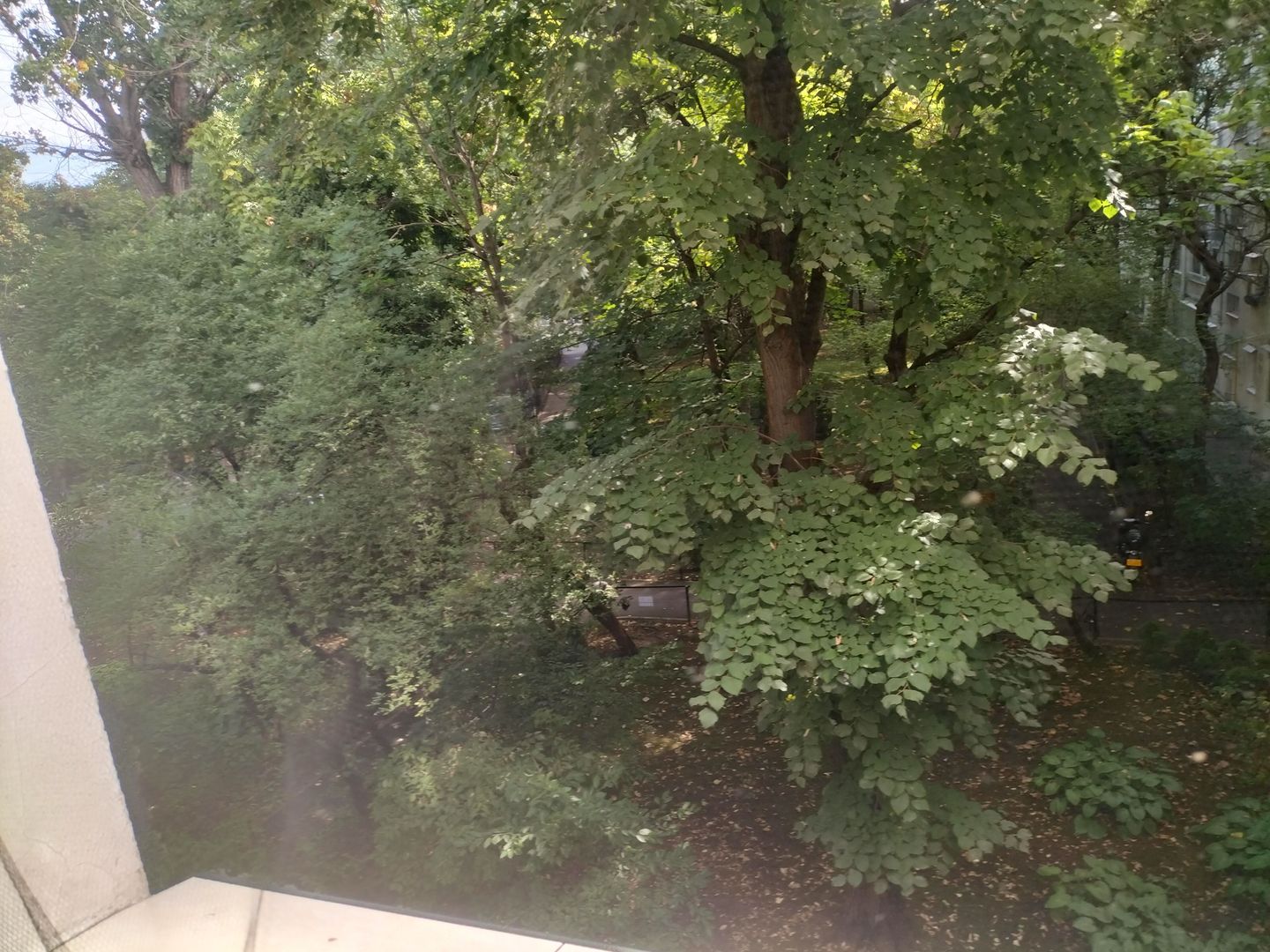 Apartament  Luminos 3 camere. Bld. Brancoveanu. - Poză 4