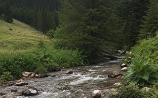 Teren cu acces la râu în Stejar – ideal pentru cabane sau retreat - Poză 6