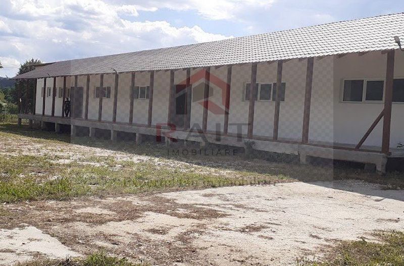 Hala de Inchiriat Godeni Arges - Poză 9