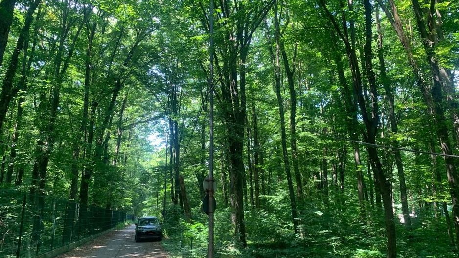 192842 mp teren in Padurea Baneasa proiect exclusivist - Poză 18