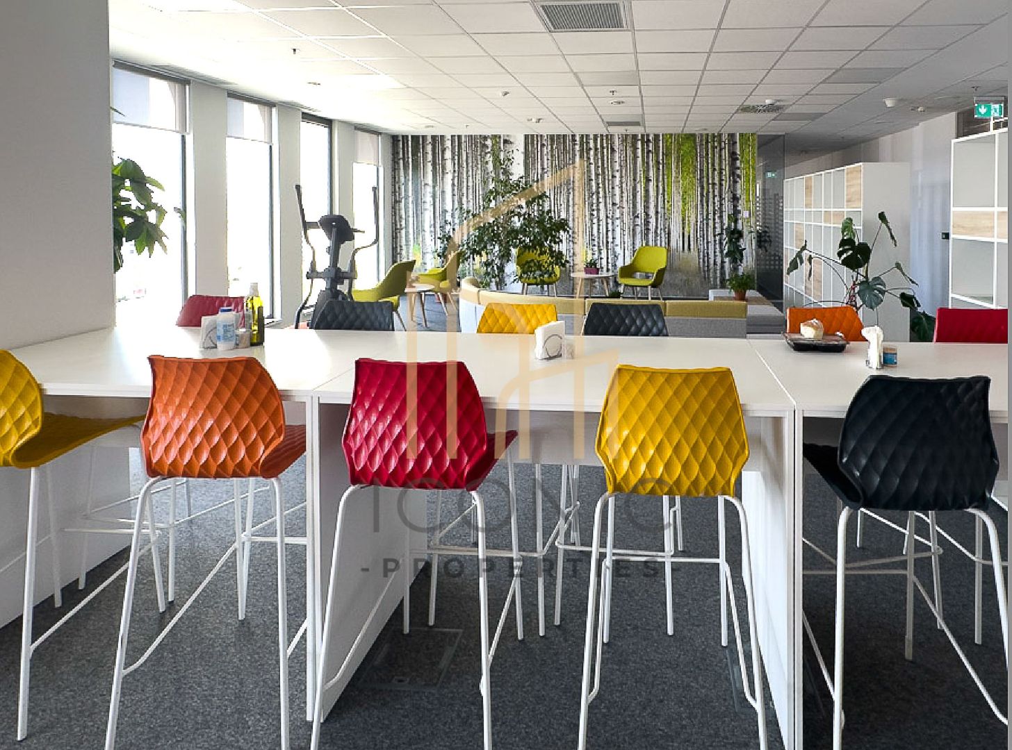 De inchiriat spatii birouri - Poză 15