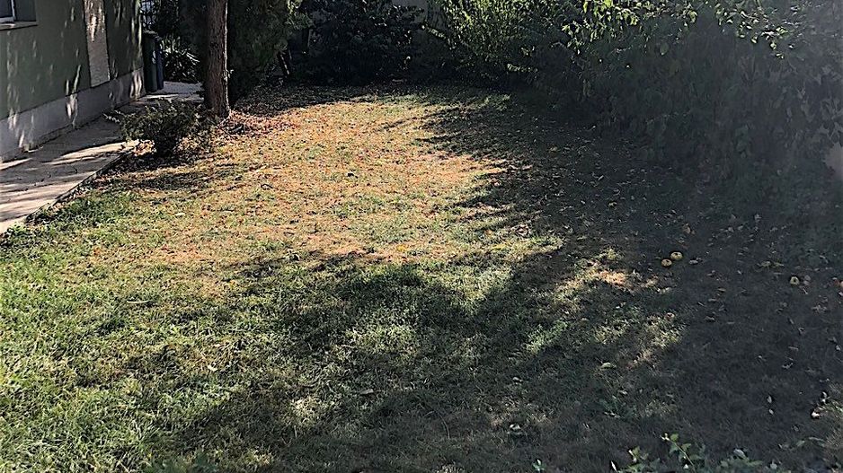 Casa zona Cetatii de locuit sau birouri - Poză 26