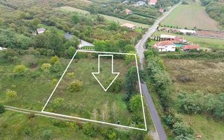 De vanzare Teren Intravilan Viile Satu Mare 2812MP/Dublu Front Stradal - Poză 6