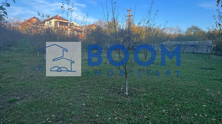 Casa cu livada | Bujoreni | 1550 mp - Poză 4