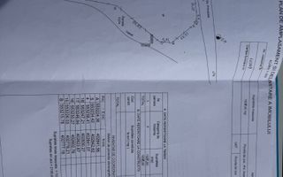 Teren intravilan la asfalt 2100 mp deschidere 21 mp la asfalt! - Poză 7