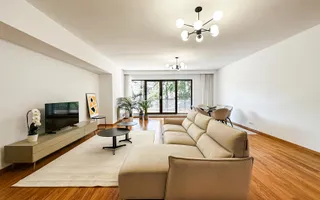 Inchiriere Apartament Kiseleff Aviatorilor 4 Camere - Poză 21