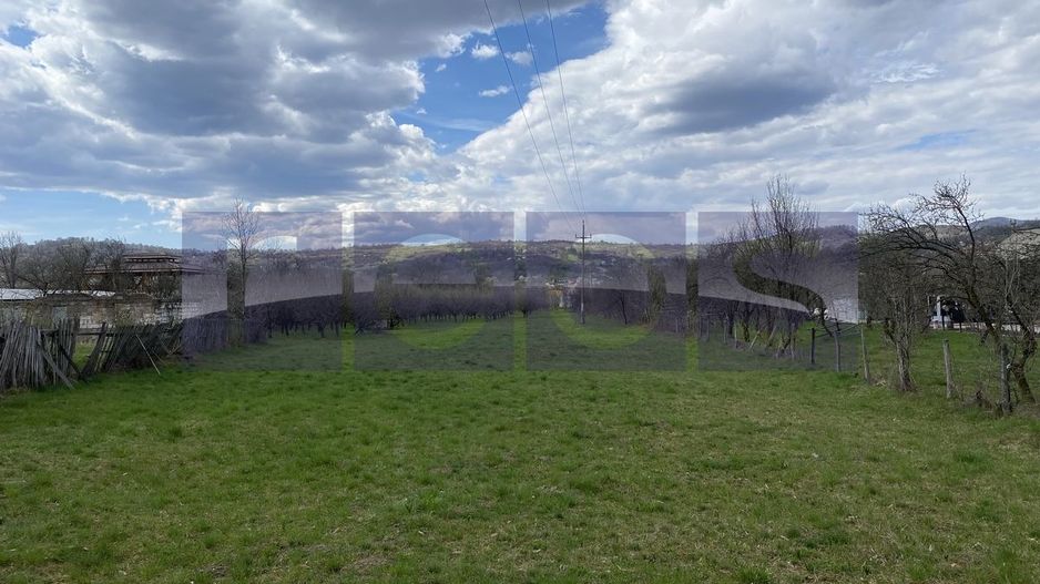 TEREN INTRAVILAN DE VÂNZARE – BEREVOIEȘTI, ARGES – 14.200 MP - Poză 1