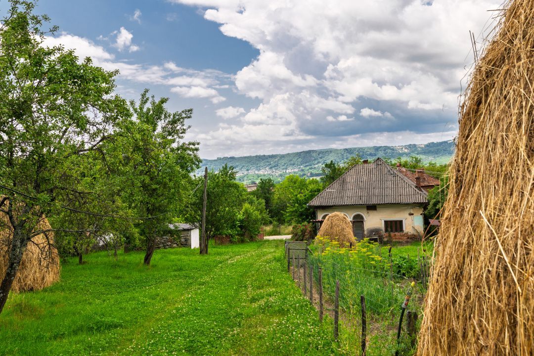 Casa moderna si casa bunicii + 6300 mp teren,Oaza autentica in Corbi Arges- - Poză 4