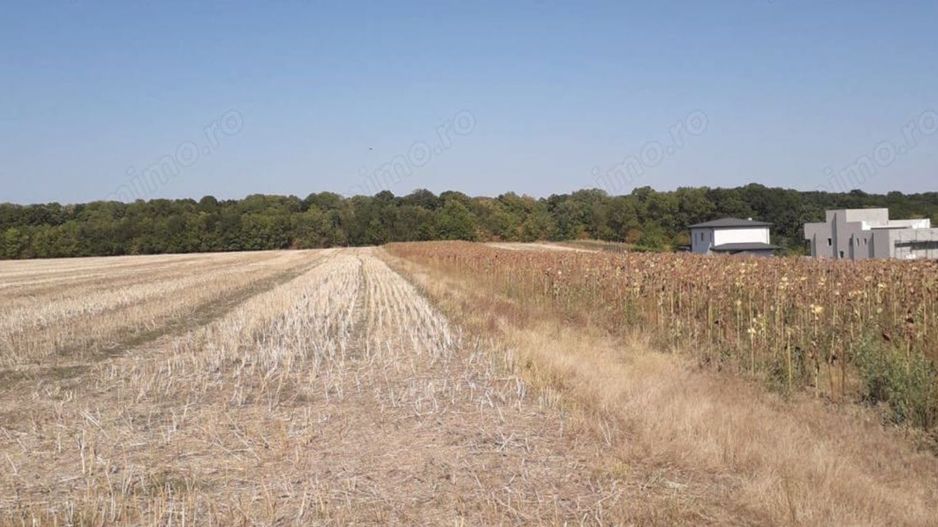 Caciulati! Teren de vanzare - 1500 mp la 15 minute de capitala - Poză 4