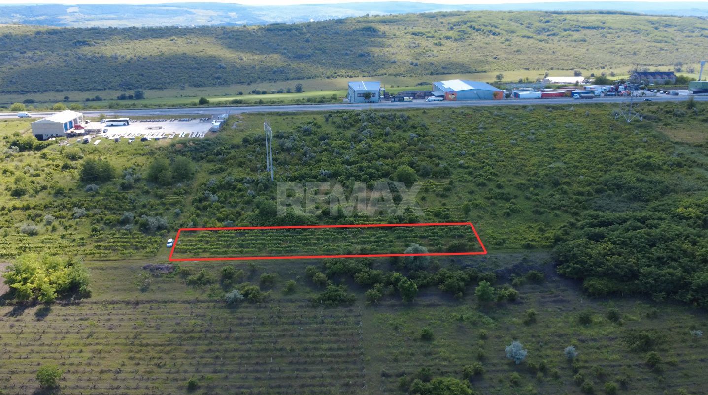 Teren Agricol, 25 ari, Durlești - Poză 1