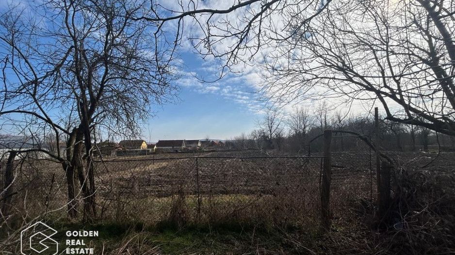 Casa traditionala cu teren generos in Odvos, județul Arad - Poză 18